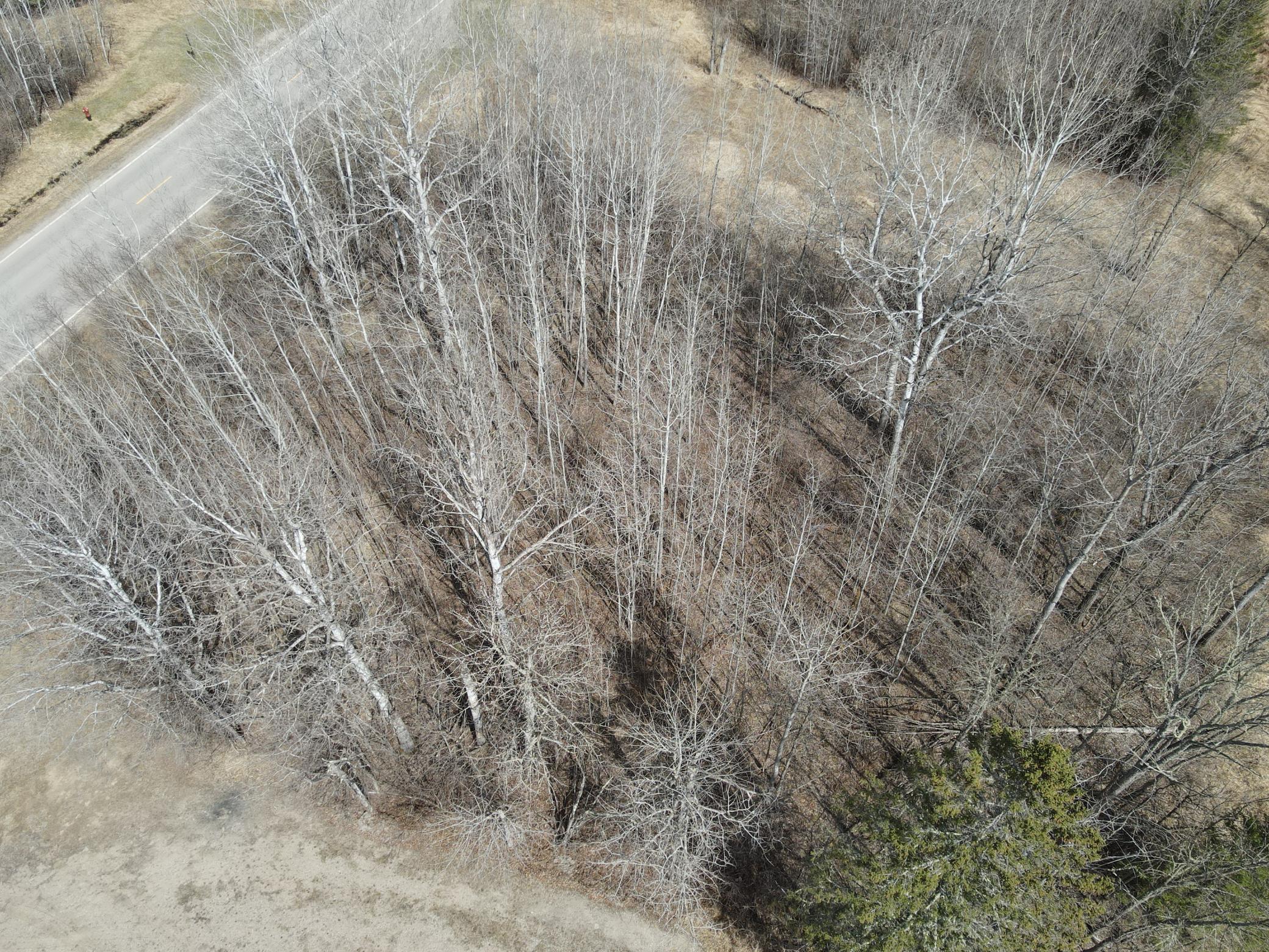 DJI_0640.JPG