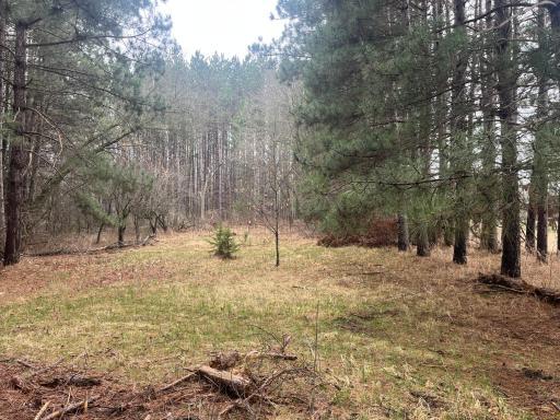Xxxxx Old 67 Road, Henning, MN 56551