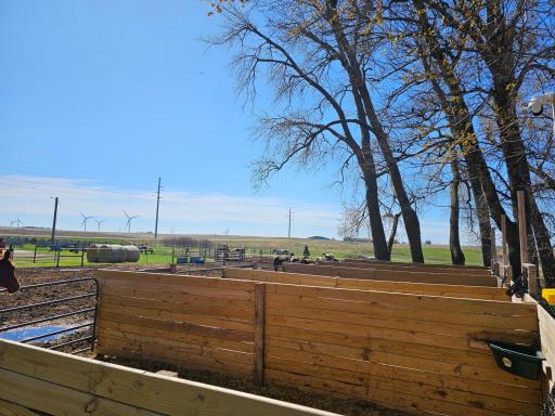 12405 State Highway 91, Lismore, MN 56155