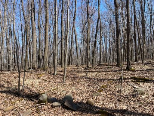 0 Sand Pit Road, Trego, WI 54888