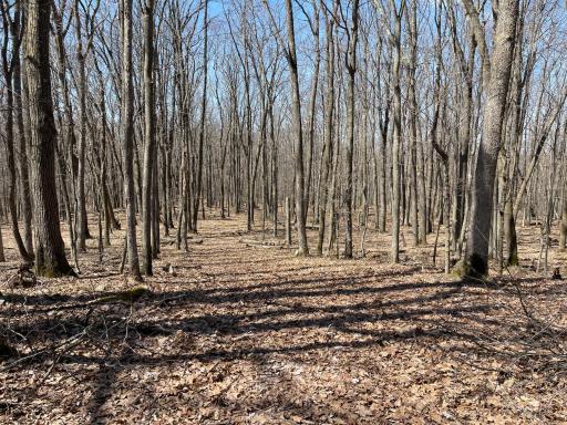 0 Sand Pit Road, Trego, WI 54888