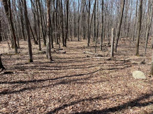0 Sand Pit Road, Trego, WI 54888