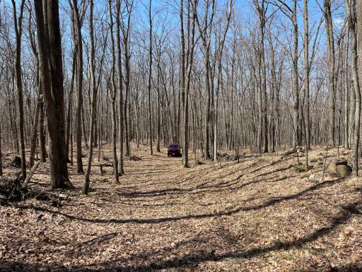 0 Sand Pit Road, Trego, WI 54888