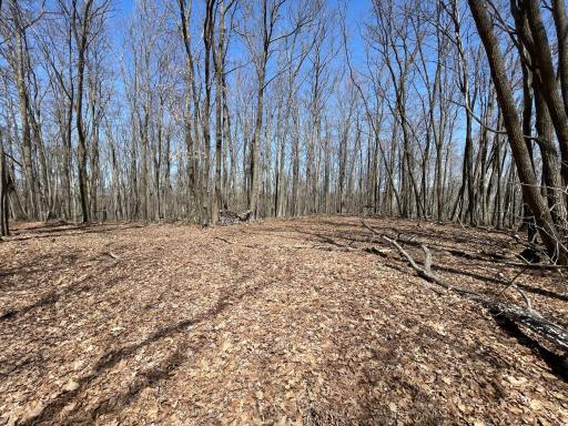 0 Sand Pit Road, Trego, WI 54888