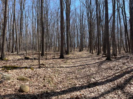 0 Sand Pit Road, Trego, WI 54888