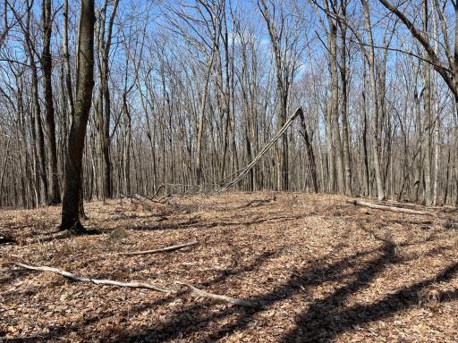 0 Sand Pit Road, Trego, WI 54888