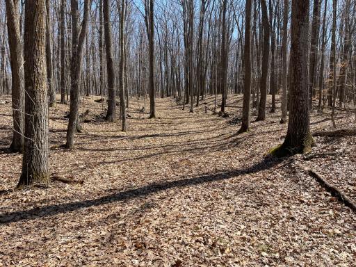 0 Sand Pit Road, Trego, WI 54888