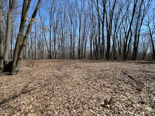 0 Sand Pit Road, Trego, WI 54888