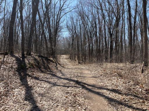 0 Sand Pit Road, Trego, WI 54888