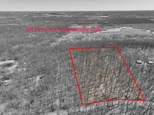 BluemDronePhotos Approx Lot Lines RevA.jpg