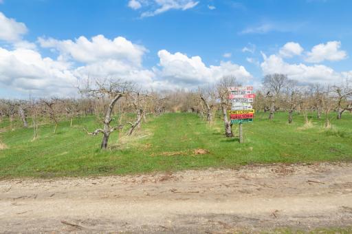 Nearly 40 acres of apple trees