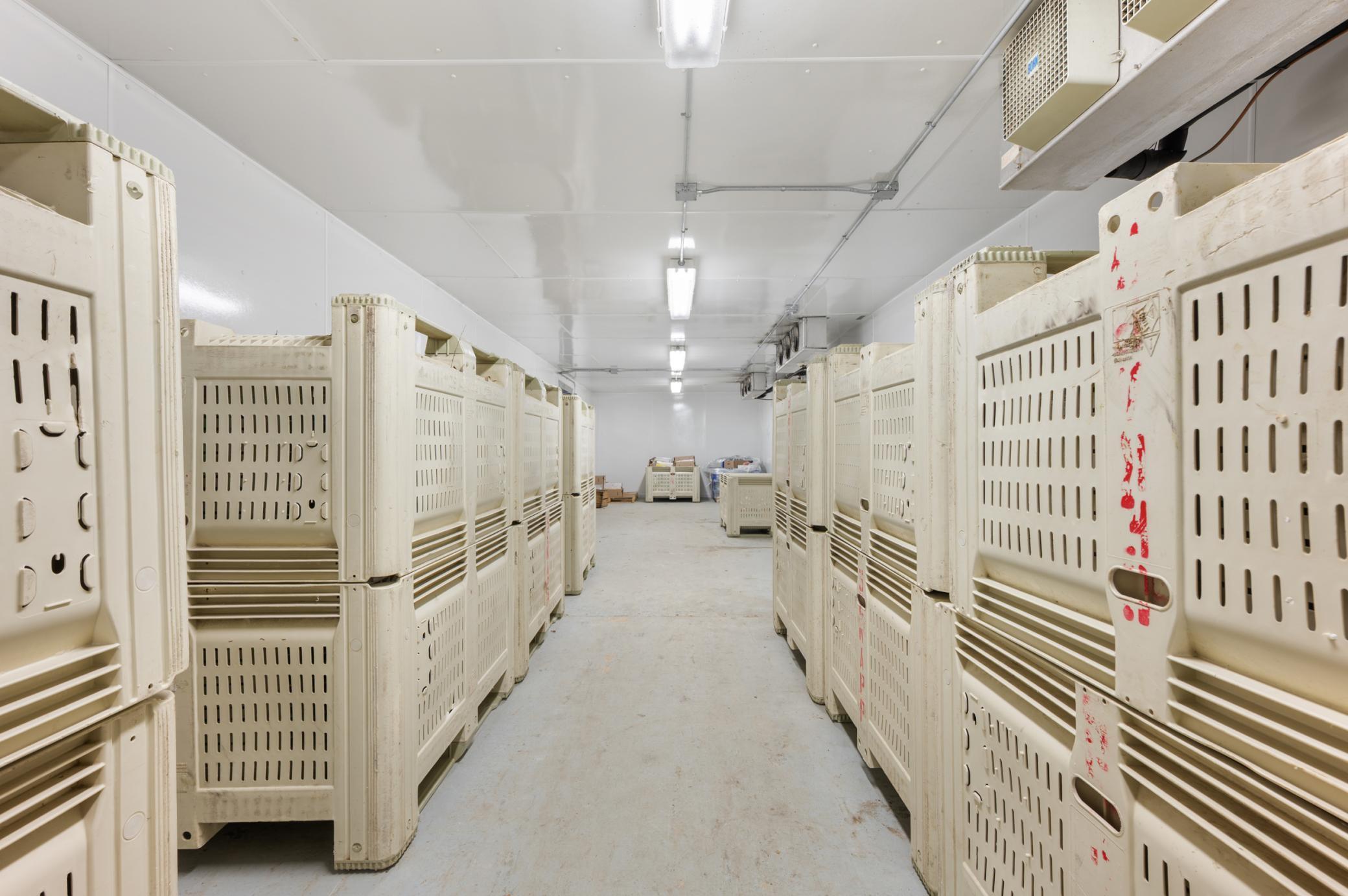 Large walk in cooler