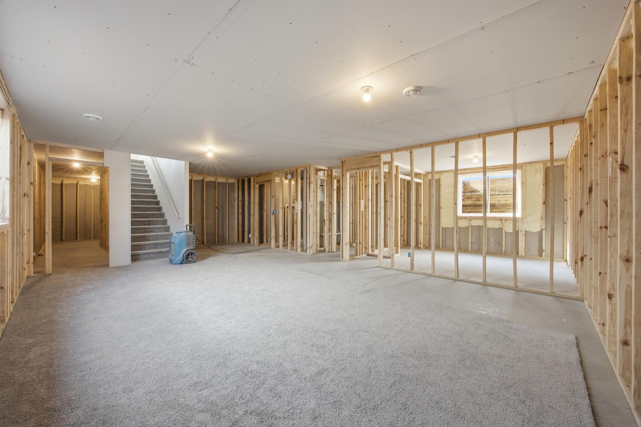 Unfinished Basement
