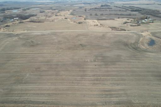 dji_fly_20250417_114242_762_1744908594403_photo copy.jpg