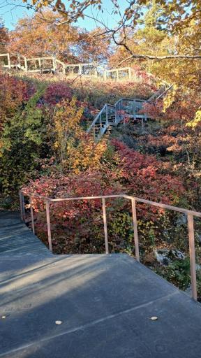 As the seasons change., what a beautiful site.