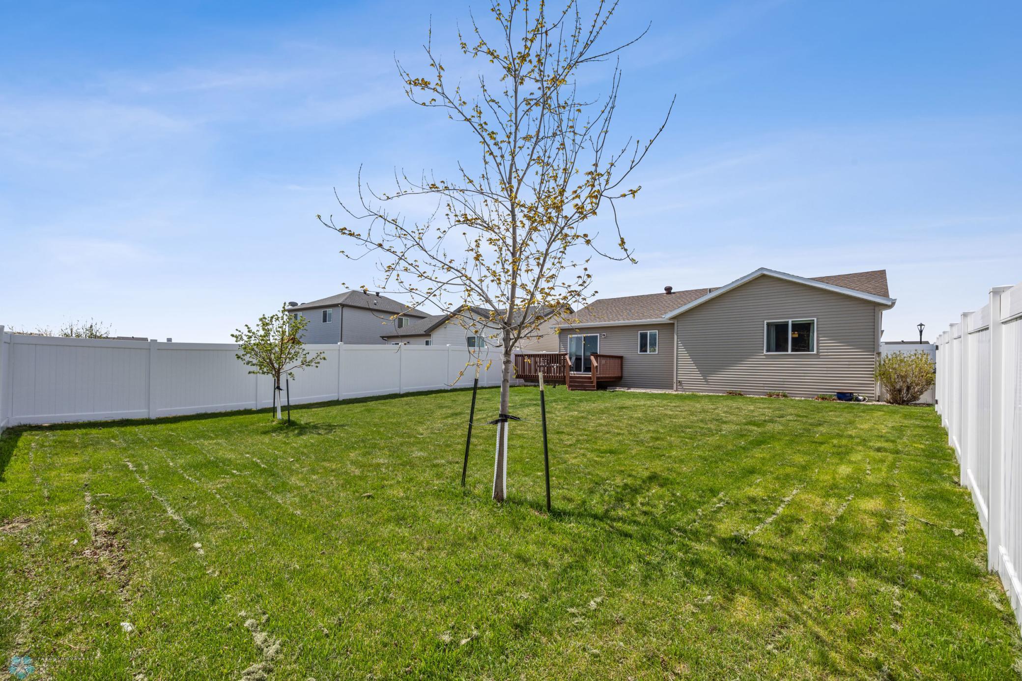 Fenced Yard with Sprinkler System