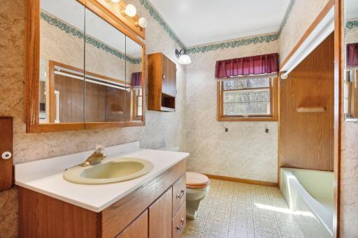 1204 133rd Lane NE, Andover, MN 55304