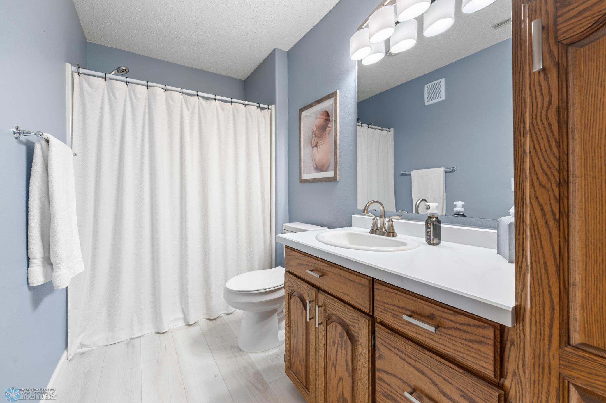Lower-Level Bathroom