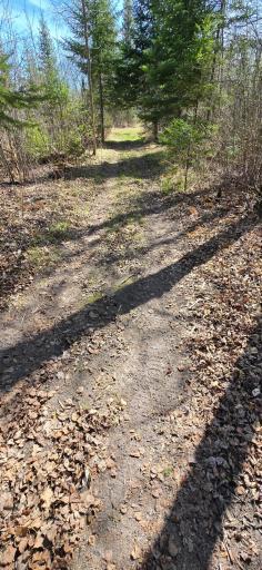 Photo for 17801 Bear Creek, Angle Inlet, MN 56711 - Listing #6712192 17801 Bear Creek, Angle Inlet, MN 56711
