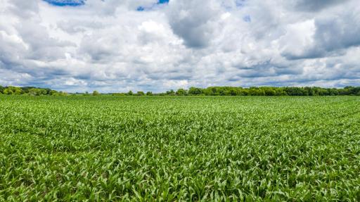 TBD MN Highway 30, Blooming Prairie, MN 55917