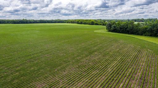 TBD MN Highway 30, Blooming Prairie, MN 55917