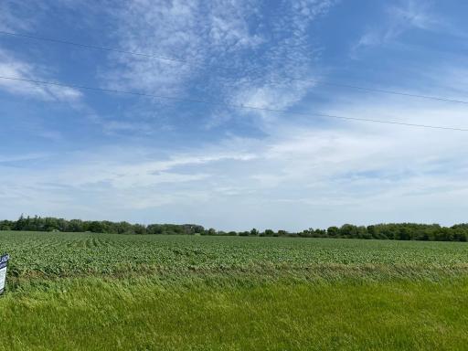 TBD MN Highway 30, Blooming Prairie, MN 55917