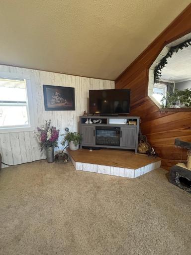 470 Chilgren Avenue, Williams, MN 56686