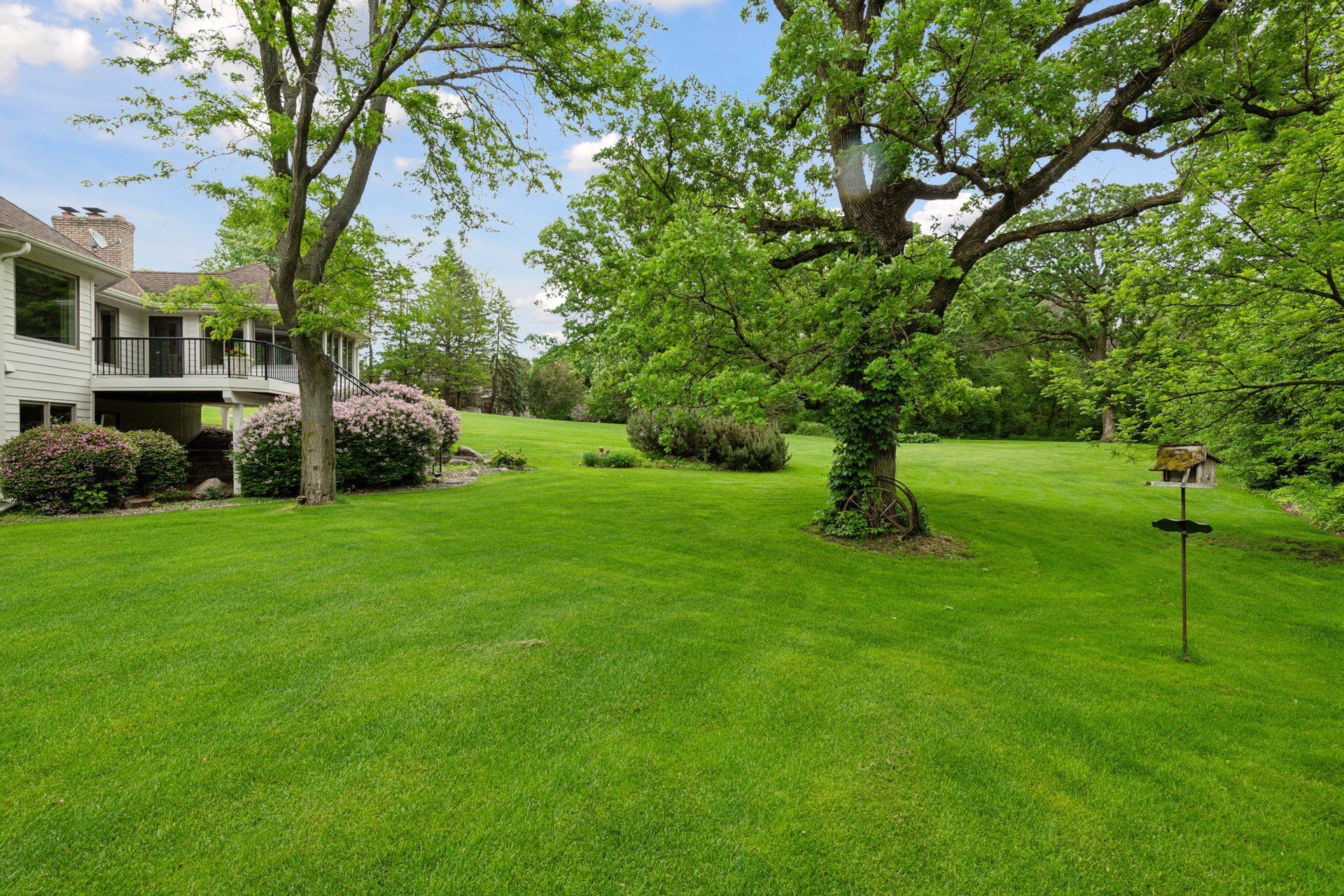 Lots of room to run, play, and entertain