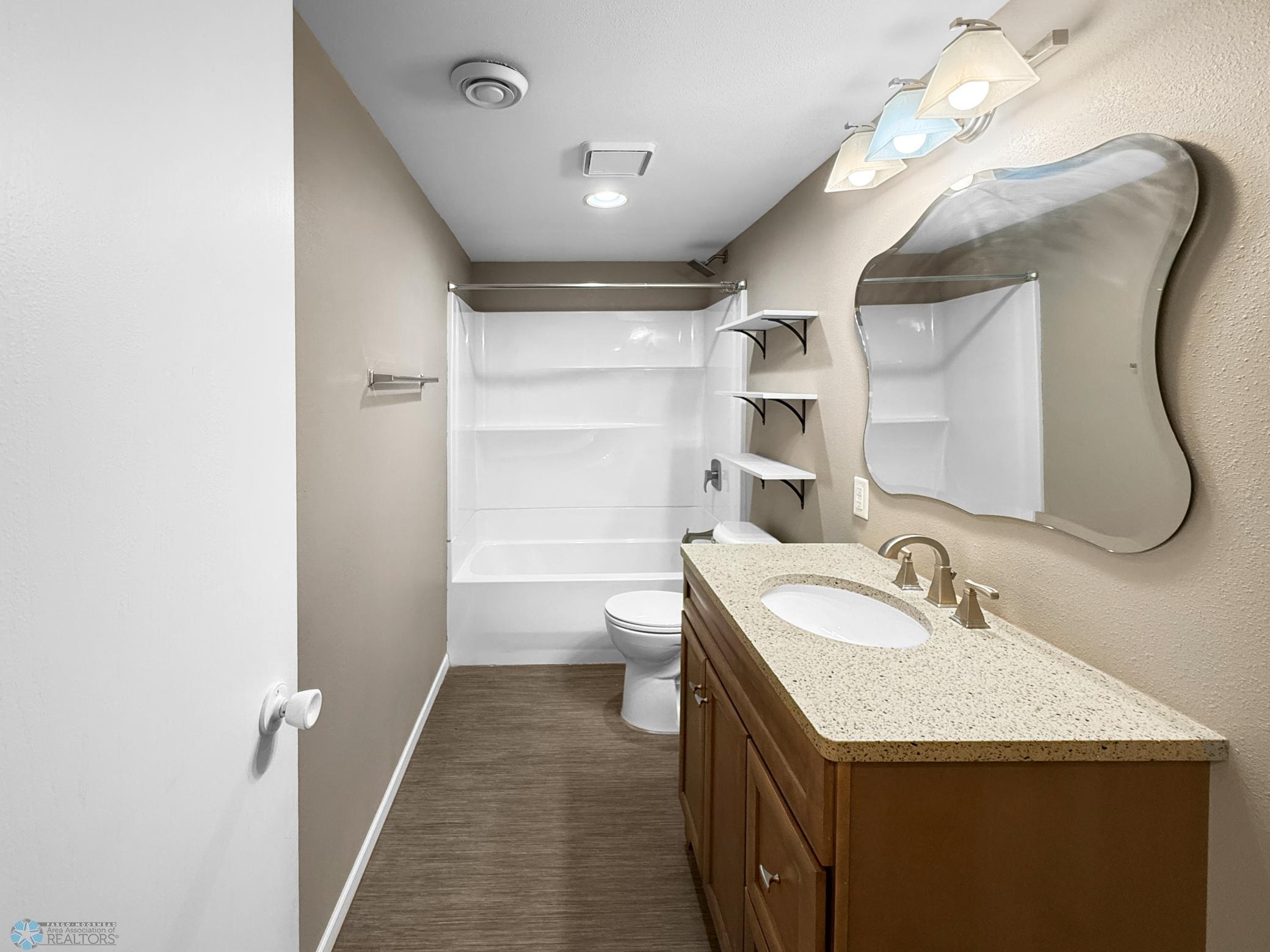 Lower Level Bathroom