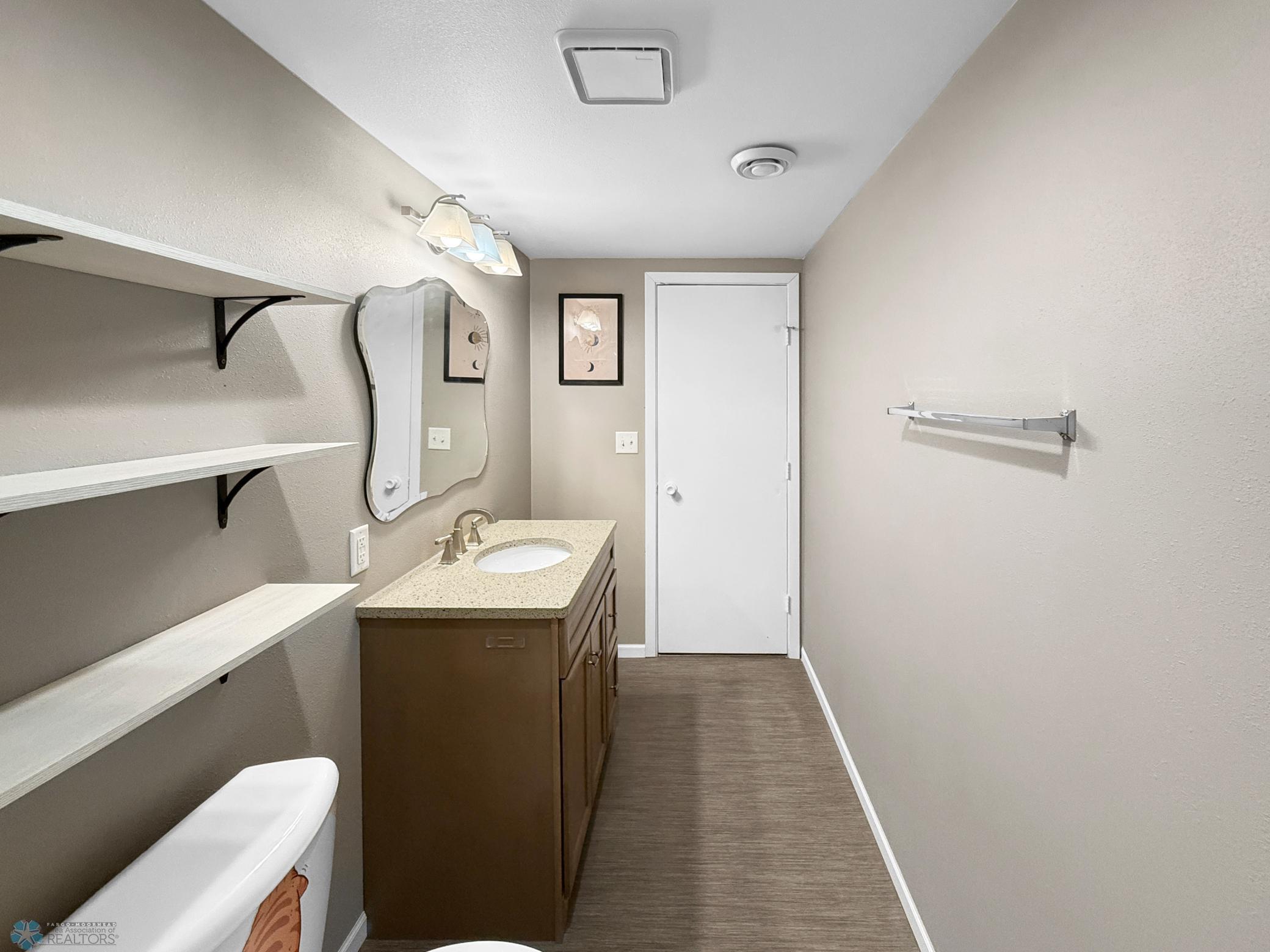 Lower Level Bathroom