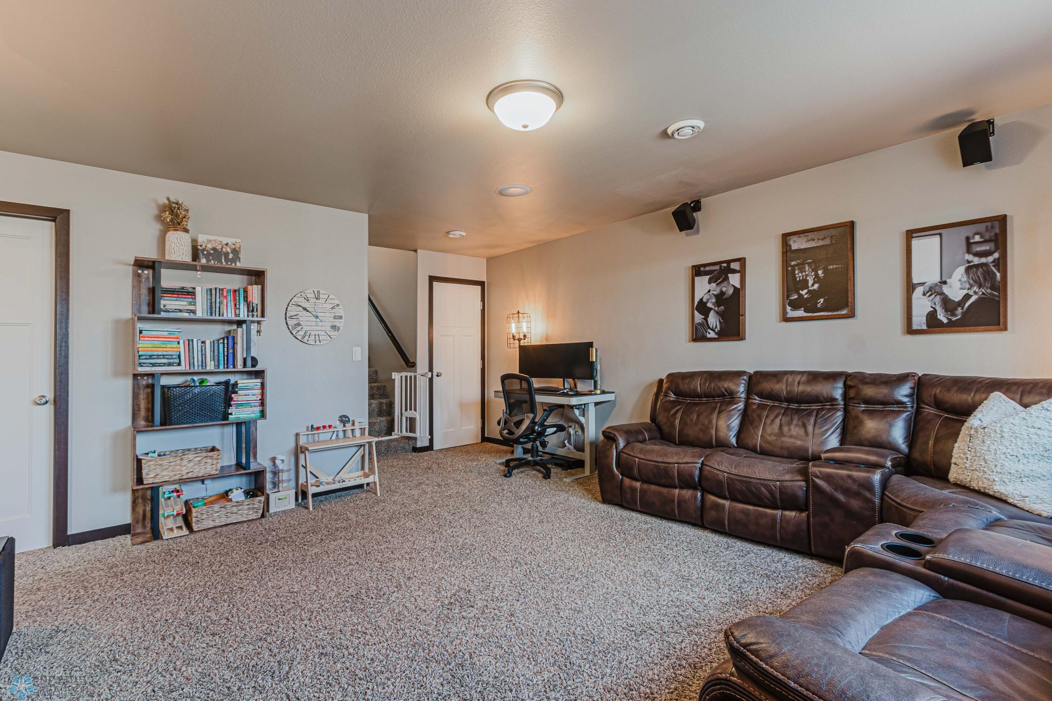 Lower family room, storage under stairs