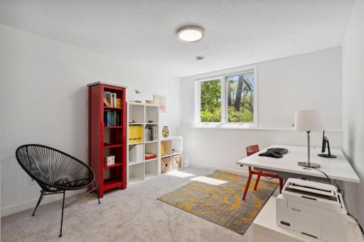 One of the two downstairs bedrooms, featuring brand-new carpet.