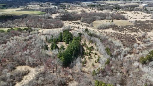TBD Palisade Street NE, East Bethel, MN 55011