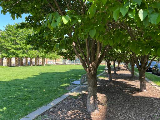 Wacouta Commons Park is right around the corner; has a playground, dog run and open space!