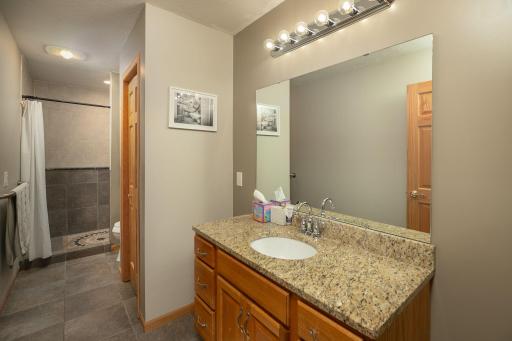 3011 Mayowood Common Circle SW, Rochester, MN 55902