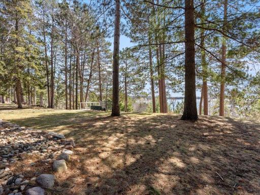 Private backyard surrounded by pine trees overlooking the lake.