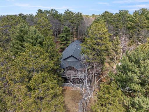Nestled in your own private pine forest.