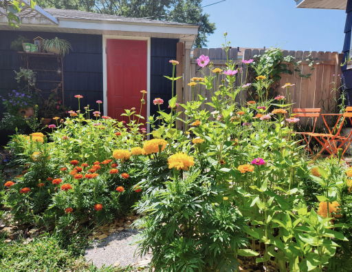 6912 Toledo Avenue N, Minneapolis, MN 55429