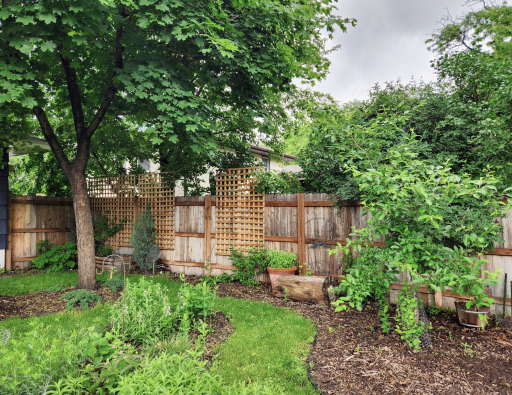 Summer Backyard Fence Trellis Landscaping