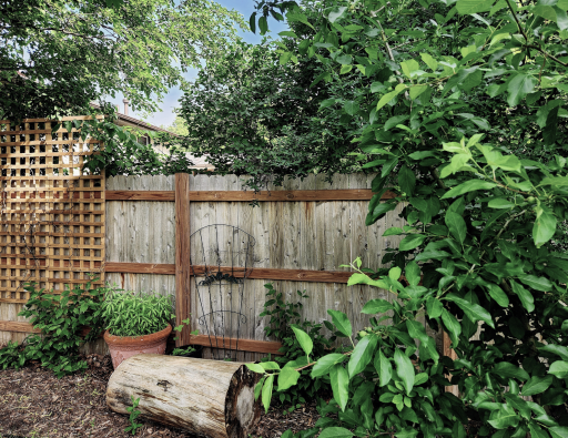 Summer Backyard Fence Trellis Landscaping