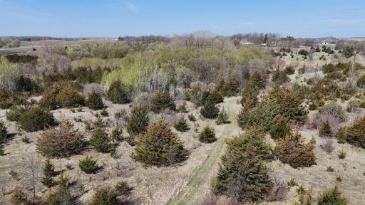 Great Property For Hunting
