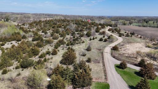 Driveway Leading To The Home
