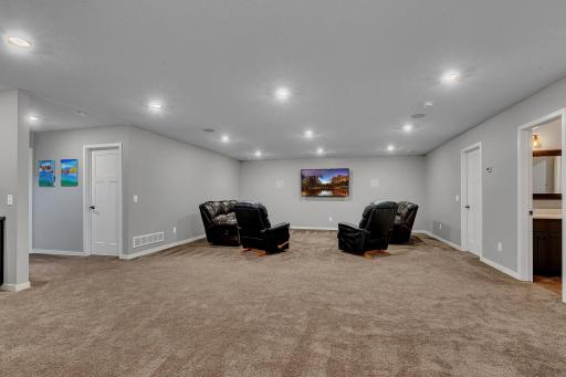 Lower Level Family Room