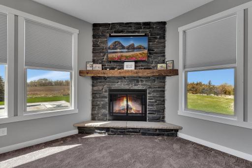 Fireplace In The Living Room
