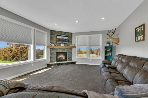 Living Room With Lots Of Natural Light
