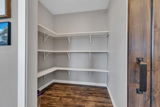 Huge Walk-In Pantry