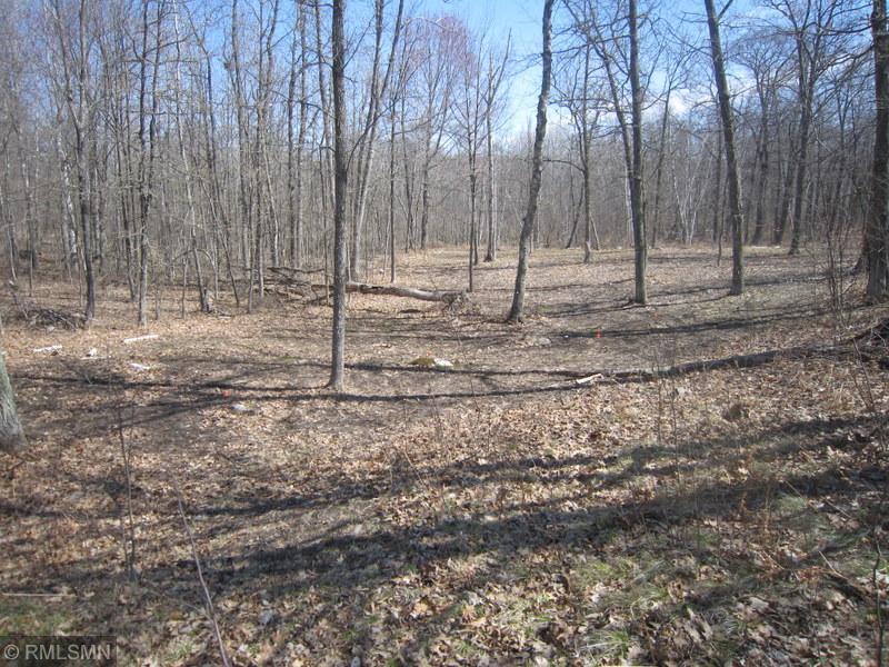 Start of food plot