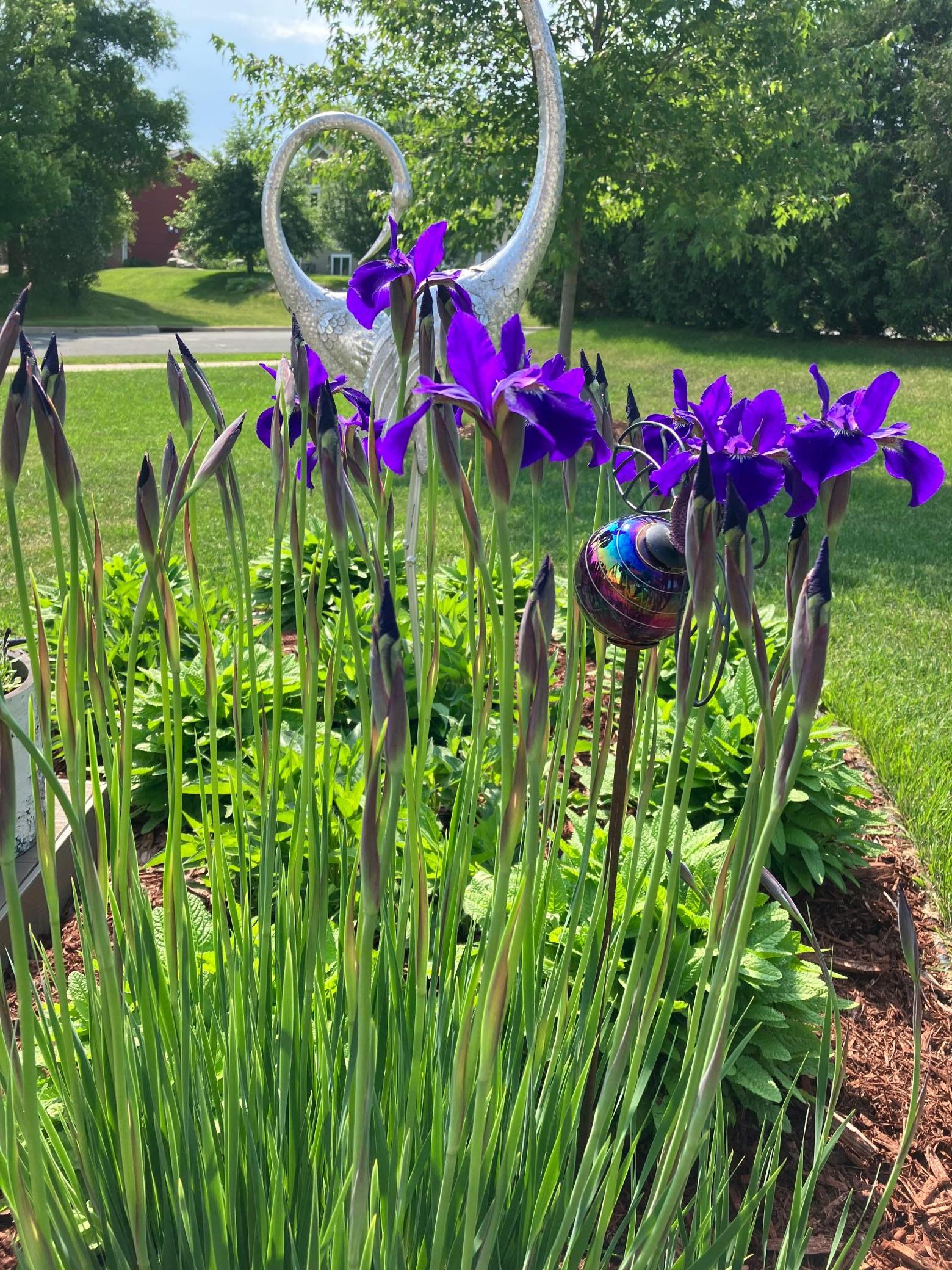 IMG_0469.jpeg