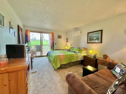 518 Quadna Mountain Road, 518, Hill City, MN 55748