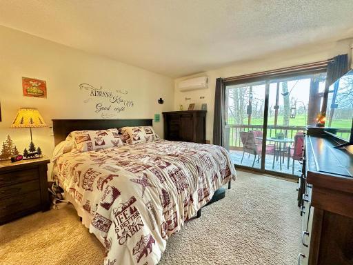 518 Quadna Mountain Road, 518, Hill City, MN 55748